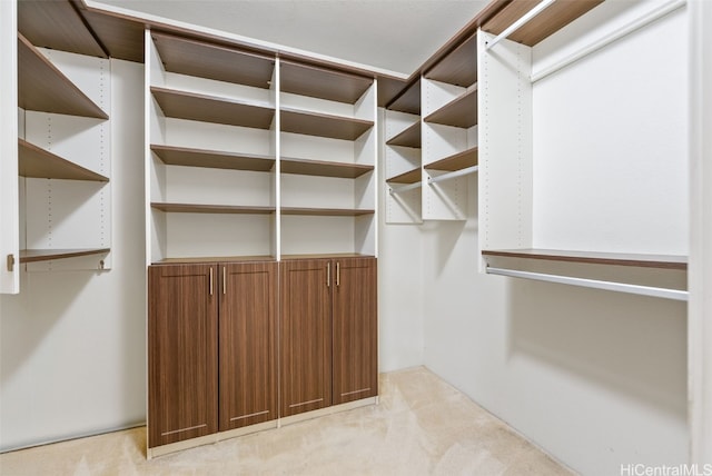 spacious closet with light carpet