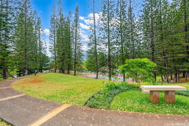 view of community featuring a yard