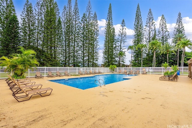 view of pool with a patio area