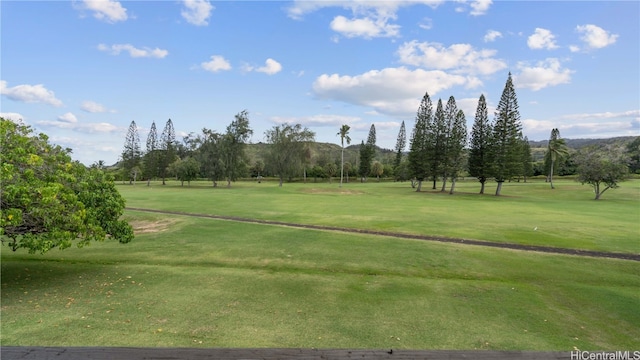 view of property's community featuring a yard