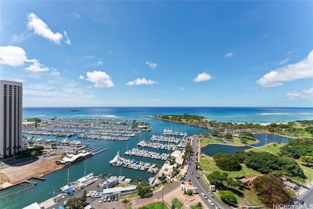 bird's eye view with a water view