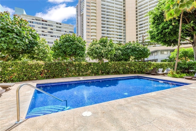 view of pool with a patio