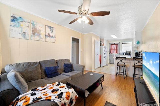 living room with crown molding, light wood-type flooring, and ceiling fan