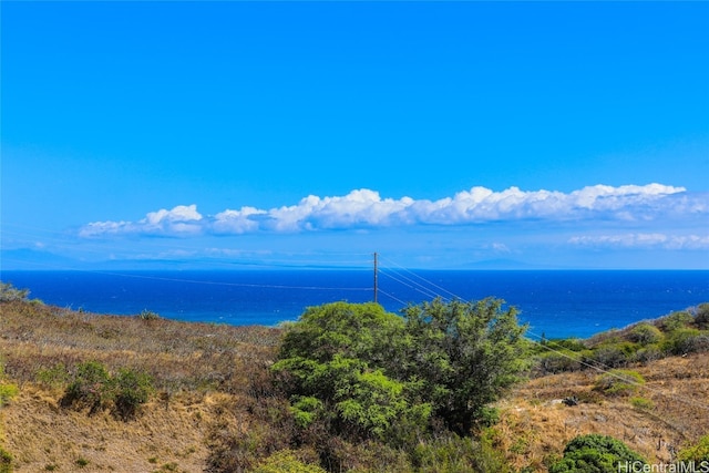 property view of water