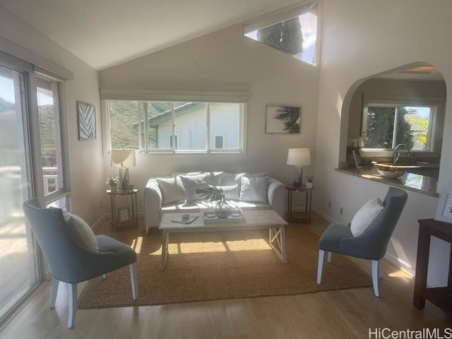 living room with hardwood / wood-style floors, vaulted ceiling, plenty of natural light, and sink