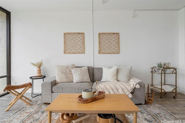 living room with hardwood / wood-style flooring