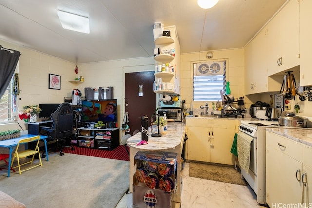 kitchen with sink and white range