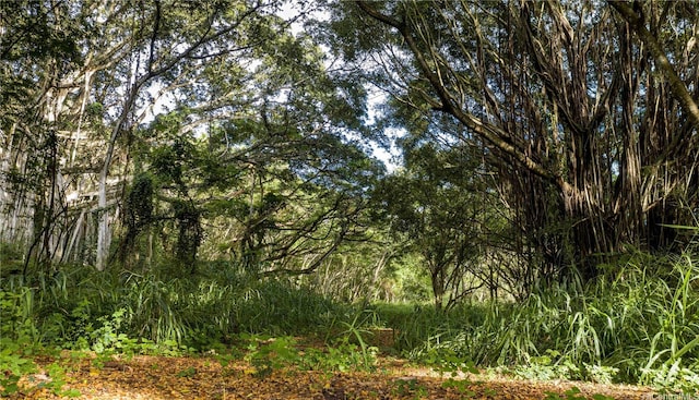 0000 Kamehameha Hwy Lot 35, Haleiwa, HI 96712