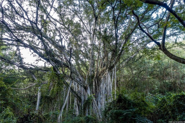 0000 Kamehameha Hwy Lot 35, Haleiwa, HI 96712