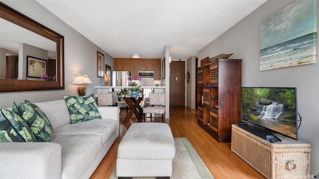 living room featuring light wood-type flooring