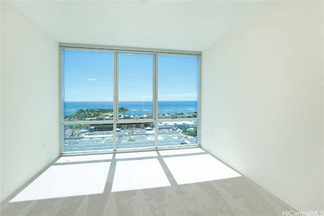 carpeted empty room featuring expansive windows and a wealth of natural light