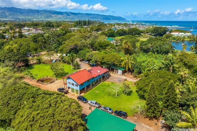 aerial view featuring a water and mountain view