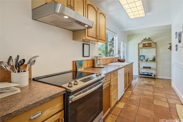 kitchen featuring sink, dishwasher, range hood, ornamental molding, and stainless steel electric stove