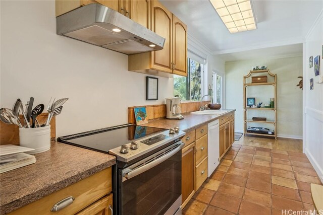 kitchen with crown molding, white dishwasher, a sink, under cabinet range hood, and stainless steel electric range