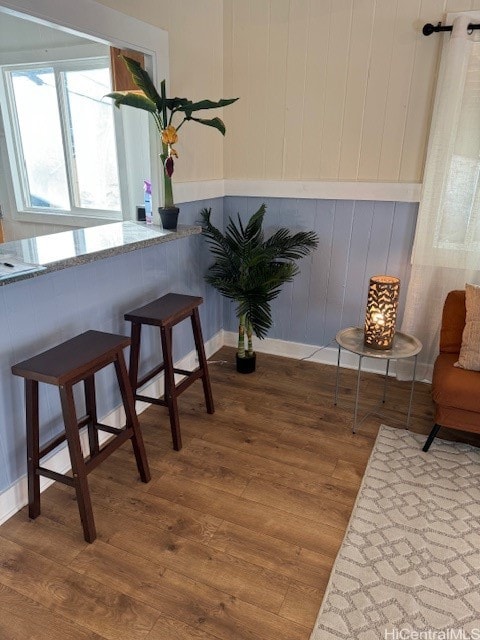 living area with dark hardwood / wood-style flooring