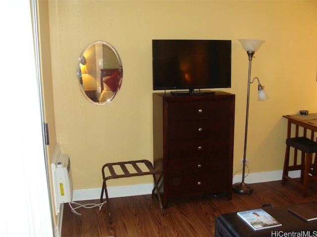 living area with dark wood-type flooring