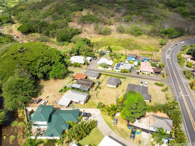 bird's eye view