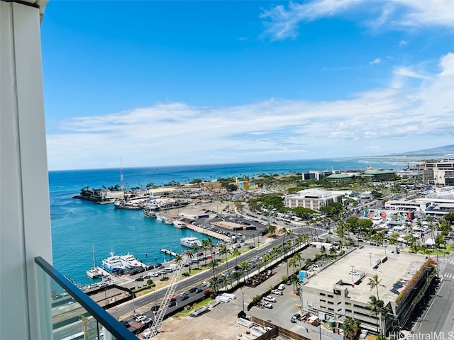 bird's eye view with a water view