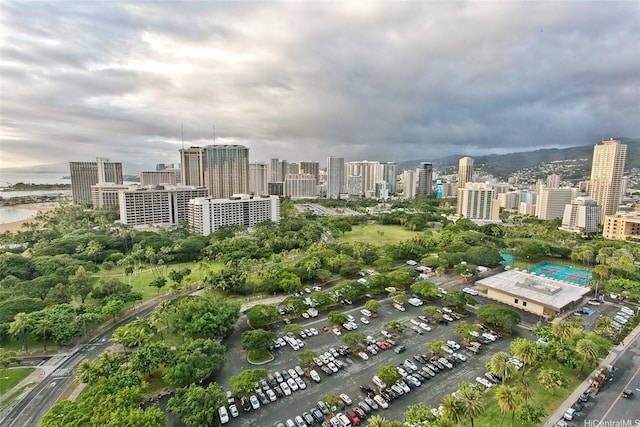 223 Saratoga Rd Unit 2607, Honolulu, HI 96815 - bird's eye view of city skyline