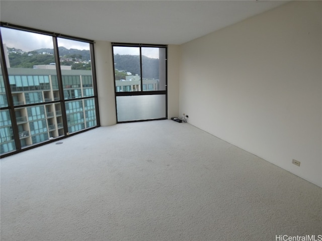 unfurnished room with a wall of windows and carpet floors