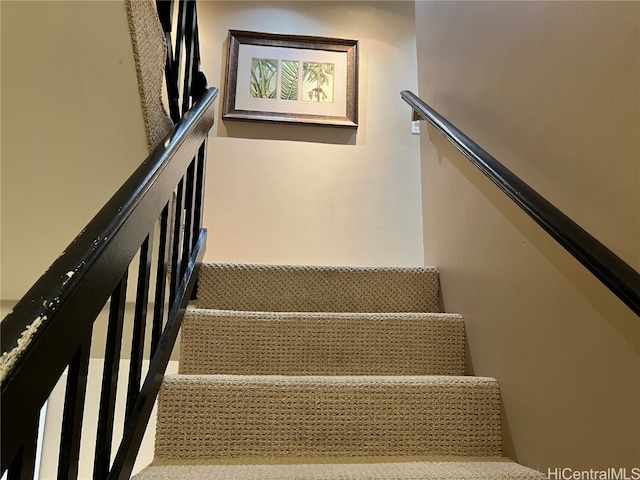 stairway with carpet