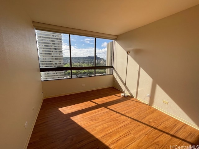 spare room featuring hardwood / wood-style floors