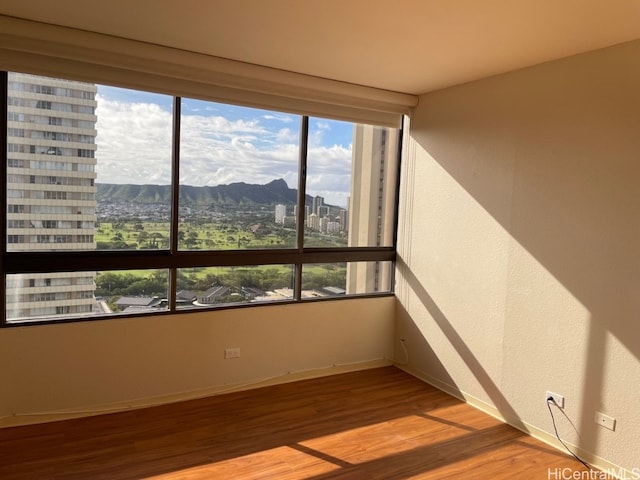 empty room featuring a mountain view and hardwood / wood-style flooring