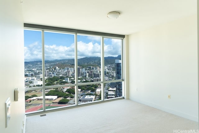 carpeted empty room with a mountain view