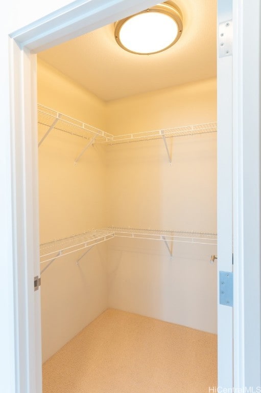 spacious closet with carpet flooring