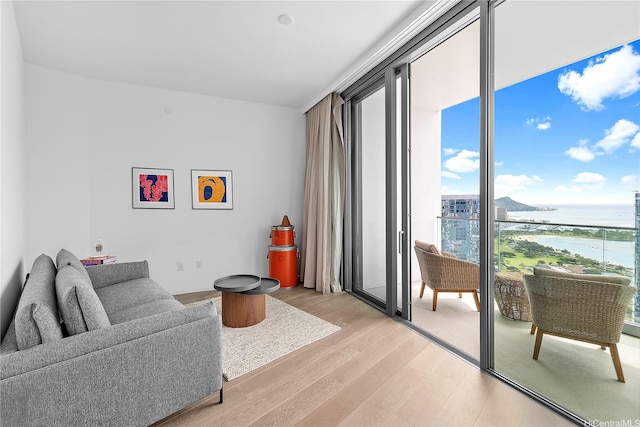 1000 Auahi St Unit 4106, Honolulu, HI 96814 - living area with a water view and light wood-style flooring