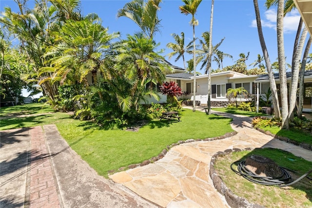 61-707 Papailoa Rd, Haleiwa, HI 96712 - view of green lawn