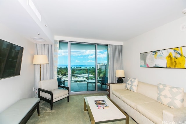 living room featuring expansive windows and carpet