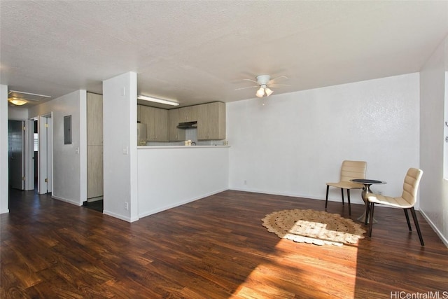 interior space featuring electric panel, ceiling fan, dark hardwood / wood-style flooring, and a textured ceiling