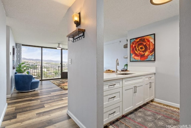 interior space featuring baseboards, wood finished floors, expansive windows, a mountain view, and a sink