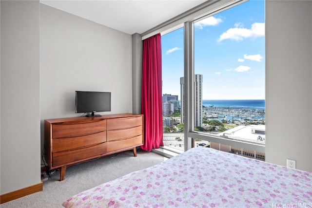 carpeted bedroom featuring multiple windows