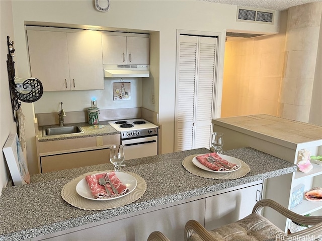 kitchen featuring sink and white electric range