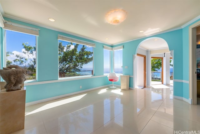 interior space with crown molding and a healthy amount of sunlight