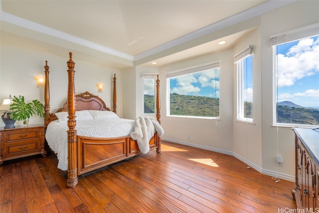 bedroom featuring a mountain view, multiple windows, and dark hardwood / wood-style floors