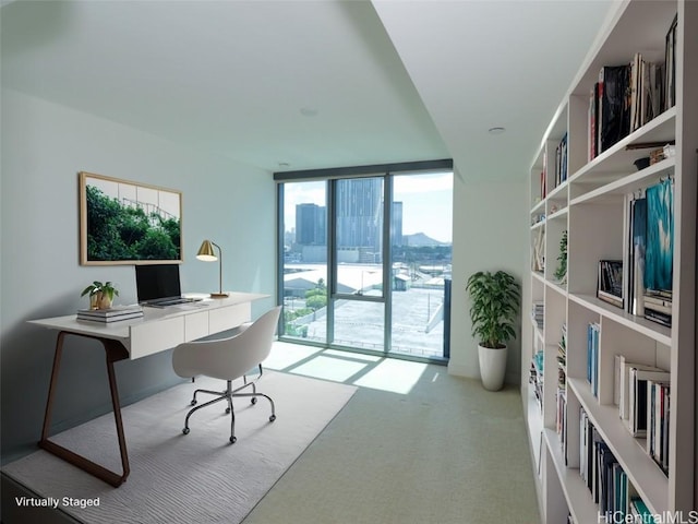 office with plenty of natural light and light colored carpet