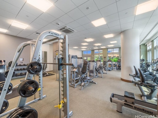 gym with light carpet, a paneled ceiling, and a wealth of natural light