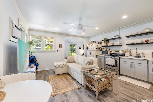 living room with light hardwood / wood-style floors, crown molding, sink, and ceiling fan