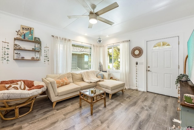 living room with crown molding, light hardwood / wood-style flooring, and ceiling fan