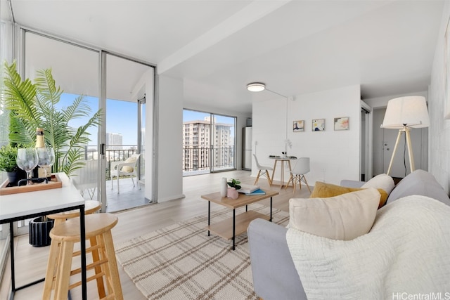 living room with light hardwood / wood-style floors and floor to ceiling windows