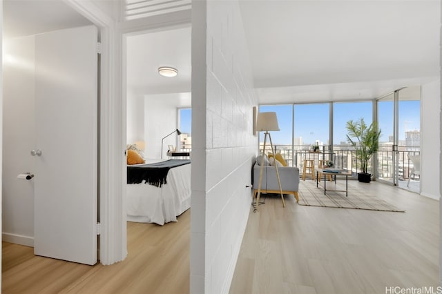 corridor featuring expansive windows and light hardwood / wood-style floors