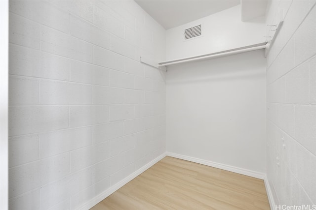 spacious closet featuring wood-type flooring