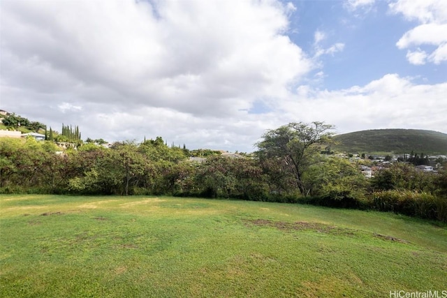 view of yard featuring a mountain view