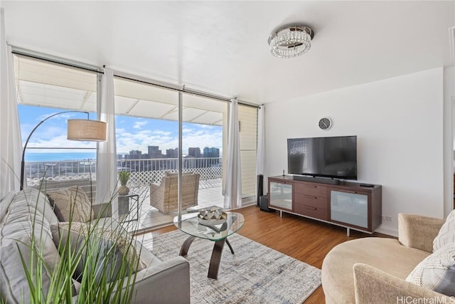 living area featuring expansive windows and wood finished floors