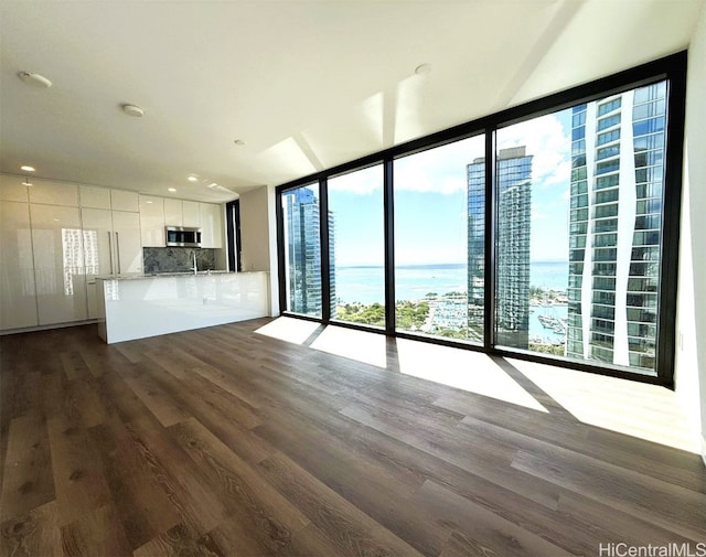 unfurnished living room featuring dark wood-type flooring and floor to ceiling windows