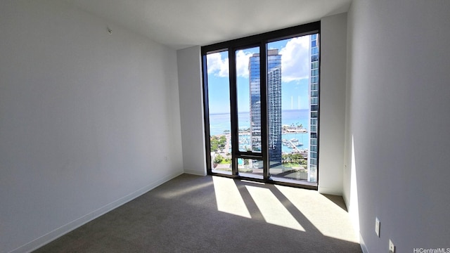 carpeted spare room with a water view, baseboards, a wall of windows, and a healthy amount of sunlight
