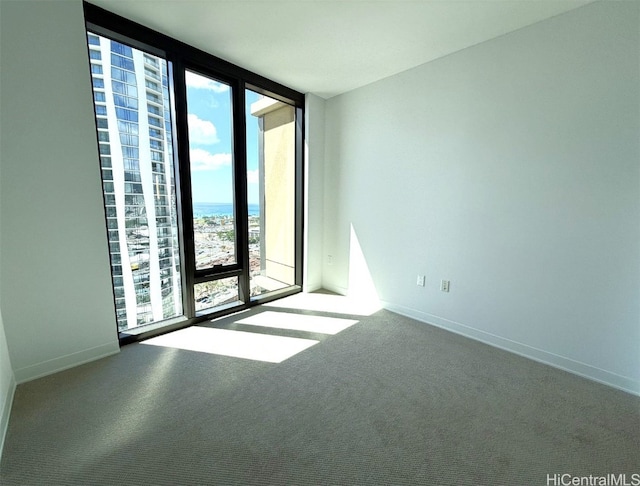 empty room featuring a wall of windows, carpet, and a wealth of natural light